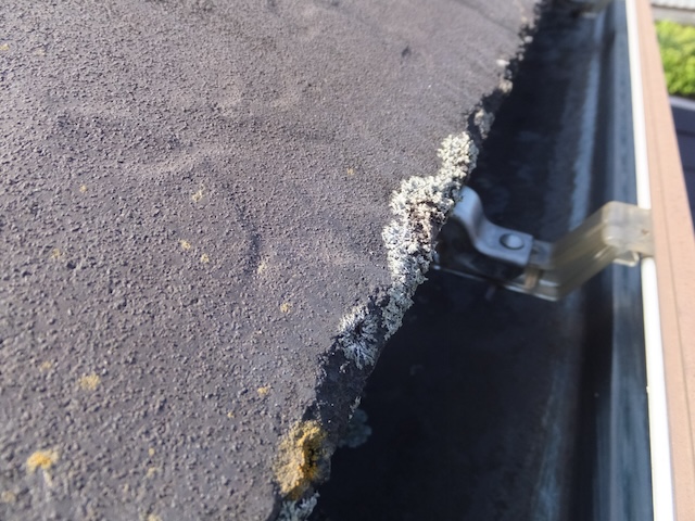 雨樋付近・別箇所